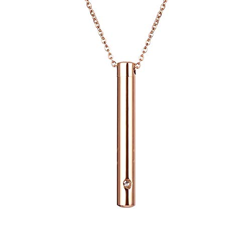 Preisvergleich Produktbild RJHSK Cremation Urn Anhänger Urneanhänger Schmuck Titan Stahl Parfüm Flasche Anhänger Zylindrische Tierhaar Urne Halskette-C