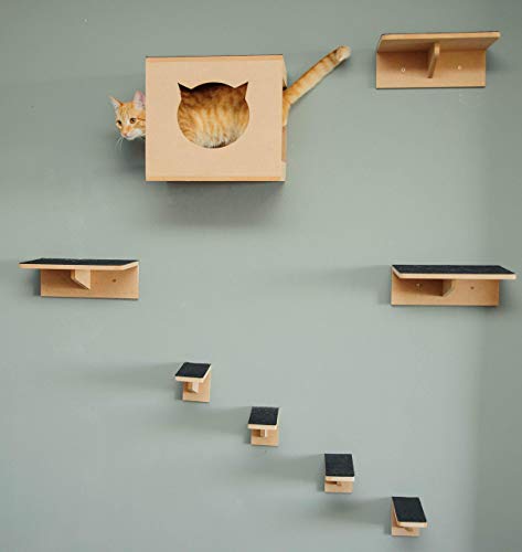 Play Kit Nicho Gatos 8 Pcs Toca,degraus,prateleiras,ponte - Natural