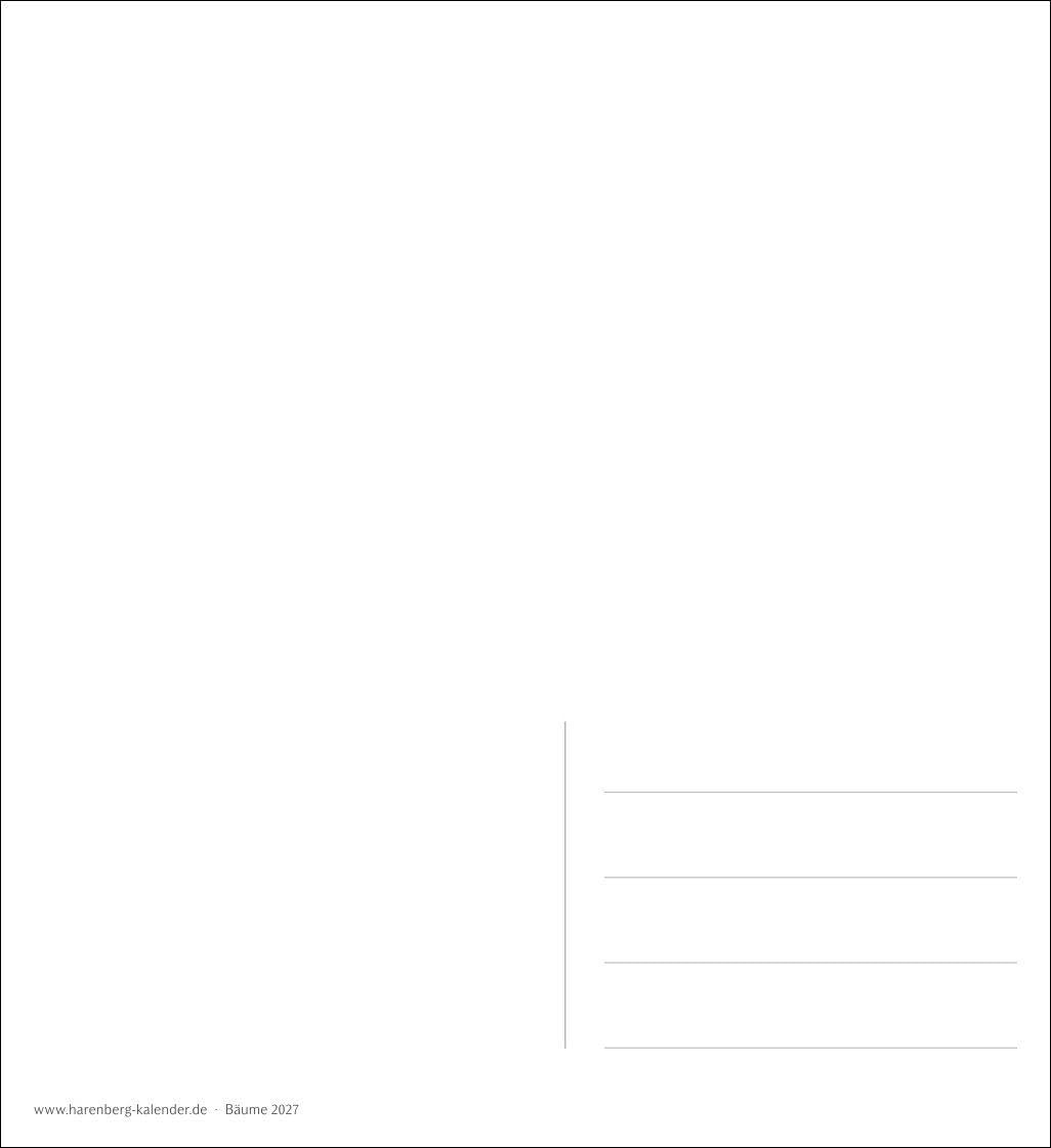Bäume Postkartenkalender 2027 - Wochenkalender mit 53 Postkarten: Fotokalender mit 53 Postkarten zum Sammeln und Verschicken. Dekorative ... Fotografen. Wochen-Tischkalender 2027