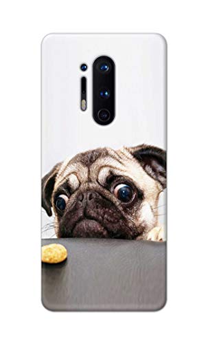 Image of PRINTFIDAA� Printed Hard Back Cover Case for OnePlus 8 Pro Back Cover (Pug Dog) -2808