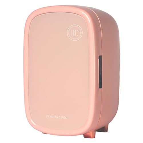 Flamingueo Mini Frigo 12L - Éclairage Intérieur, 12V/220V, Mini Frigo de Chambre, Fonction Froid, Per Cosmetique, Skincare