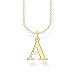 Produktbild THOMAS SABO Halskette Buchstabe A vergoldetes Silber KE2010-413-39