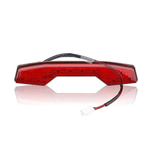 Feu de frein à LED pour Quadracer LTR-450 idéal pour les sorties tout-terrain