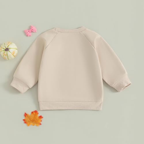 Toddler Baby Boy Halloween Outfit Pumpkin Ghost Print Sweatshirt Long Sleeve Tops Pullover Cute Fall Winter Clothes4