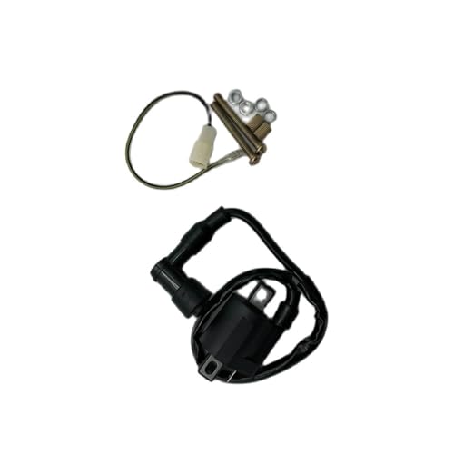 Bobina de encendido para moto de cross Dirt Pit Bike compatible con modelos PW80 y PY80