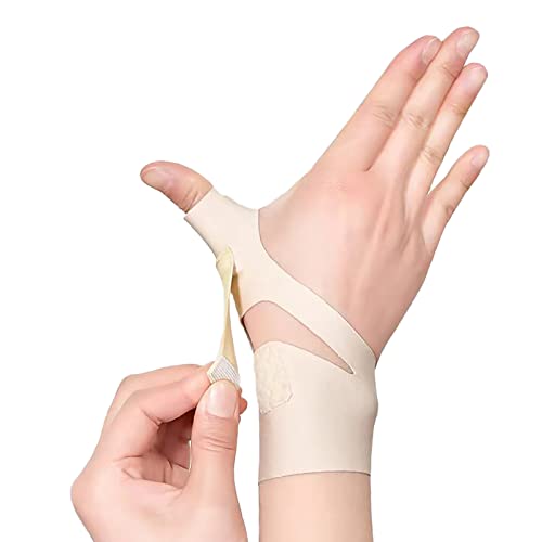  T|[^[ Xgoh X|[c oXP ejX ɂイŒ ؃gEp ی 퐶 t[TCY j (F EM)