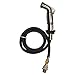 Danco 89216 Decorative Side Spray, Brushed Nickel