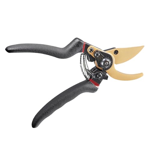 剪定ばさみ 2段階調節可能 SK5鋼 サクサク切れる 握りやすい 剪定鋏 えだきりばさみ 枝切りバサミ 園芸ハサミ 果樹 庭木 盆栽 庭園作業 ガーデニング 観葉植物 (金 + 黒色)