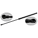 Produktbild febi bilstein 23394 Gasdruckfeder / Gasfeder für Heckklappe (beidseitig), schwarz, 420 Newton, 1 Stück