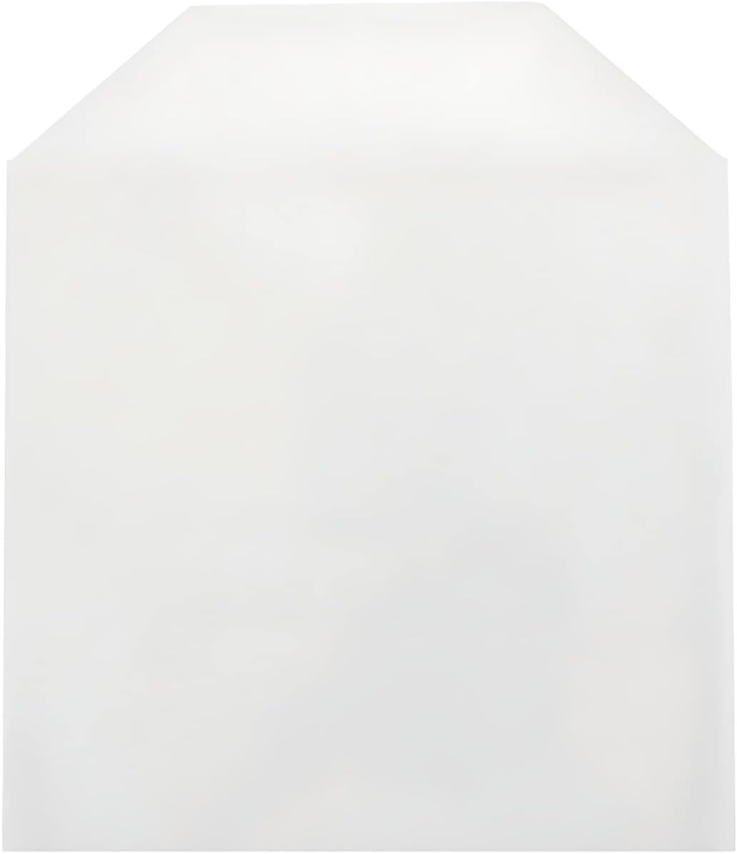 Mediaxpo 1,000 CPP Clear Plastic Sleeve with Flap (No Stitches)