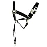 Aime Imports Basic Pull Back Training Halter Black