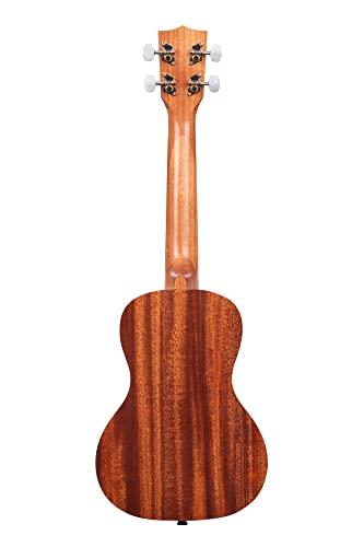 Kala KA-15C-COMBO-DLX Ka-15C Satin Mahogany Concert Ukulele Bundle thumb #2