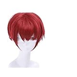 QWIFCMJF -Ranma 1/2 Ranma Saotome Cosplay Red Braids Ponytails Short Hair Halloween Adult Role Play Heat Resistant Wig