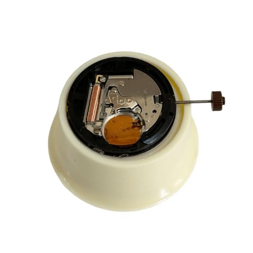 BUZZUFY Set di 12 supporti per movimento in plastica di diverse dimensioni