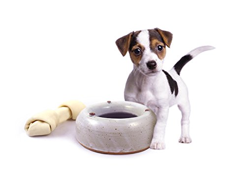 American Made Splash-Reducing Stoneware Pottery Water Bowl For Dogs And Cats (Small 24 Oz) #TOP1