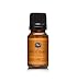 Apple Cider Fragrance Oil - Premium Grade - 10ml