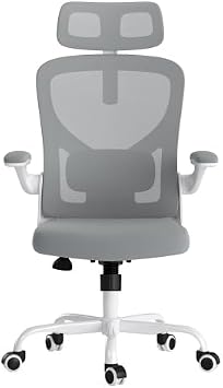 Office Desk Chair Computer High Back Mesh Gaming Seat with Ergonomic Adjustable Comfy Flip-up Armrests Lumbar Support Height for Home Office Gray