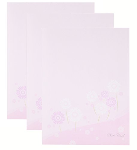 Chikuma 写真台紙 フォトマウントカード フラワー 2L 2面 立 ピンク 3冊セット 30190-5