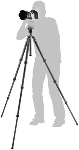Gitzo Lightweight Series 2 Traveler Carbon Fiber Tripod with Center Ball Head, Silver & Black (GK2545T-82QDUS)