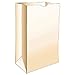 R3 Chicago 80055 Self Standing Paper Lunch Bag, White, 50 Count (Pack of 24)
