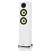 mohr 1 Stück SL20, Standlautsprecher, Lautsprecherboxen, wavecor Hochtöner, Tieftonmembran aus Polyamid, HiFi Standboxen…