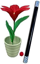 WAND TO FLOWER by JL Magic, Magic Trick, No Skill Required, Stage