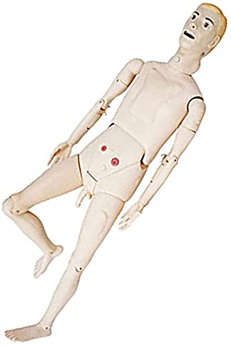 Mannequin de Soins aux Patients, modèle de Corps Entier Humain, Mannequin de démonstration, Taille réelle, pour Formation médicale