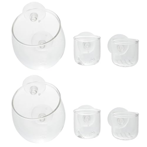 FUTUREORYY 6 KX|bg zՕtANAEv^[ pAJbv {BpJbv WCp