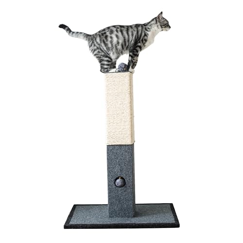Catry Cat Scratching Post - Minimalist Style Design of Cat