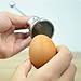 Kyz Kuv Stainless Steel Raw Egg Shell Topper Cutter Opener Egg Knocker Egg Open Tool