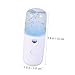Ipetboom Mini Portable Facial Steamer with USB Charging Abs Nano Mist Cooler Sprayer for Skin Hydration and Moisture Non Slip Handheld Beauty Device for Daily Skincare White