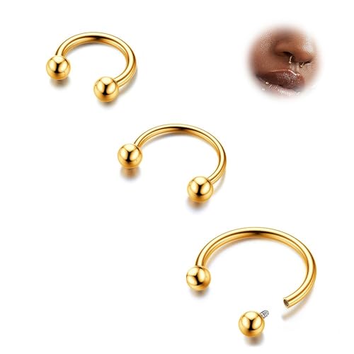 BodyBonita G23 Titanium Horseshoe Septum Rings - 2/3pcs Nose Rings Circular Barbell Spikes Septum Jewelry Nose Piercing Jewelry Conch Helix Rook Lip Cartilage Earring for Women Men Gold/Silver/Black