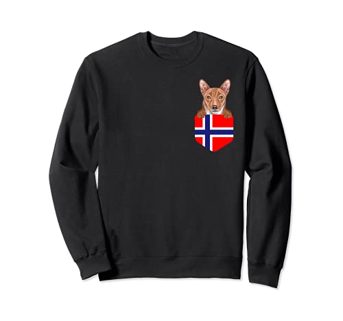 Norway Flag Basenji Dog In Pocket Sweatshirt, Black