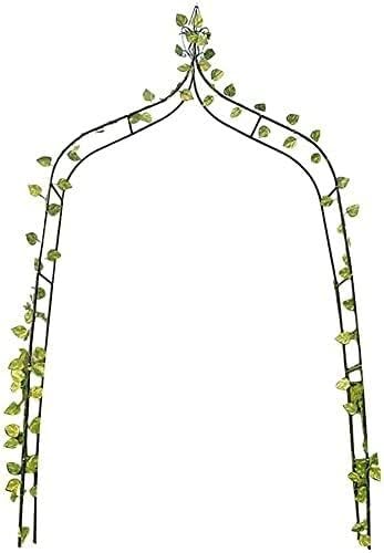 Cadre métallique robuste pour plantes grimpantes et voûte de jardin