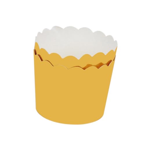 Generic 100 �� ���F�}�t�B���J�b�v ? �����ϐ��A�z�[���p�[�e�B�[�E�������E�a�����ɍœK