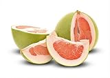 Fresh Pomelo (Set of 2)