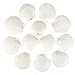 12PCS Natural Scallop Shells White Sea Shells for Decorating from Sea Beach Real Seashells for DIY Craft Painting Ocean Themed Party Wedding 2''-3''
