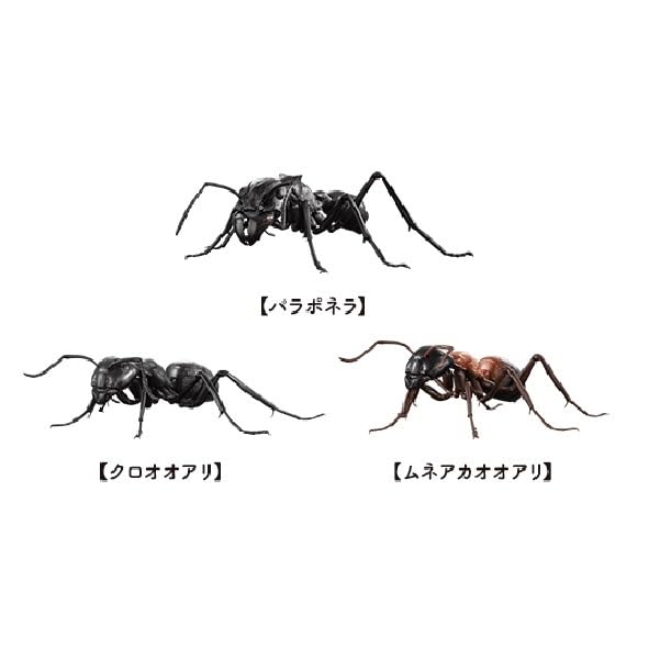 Amazon.co.jp: いきもの大図鑑 あり 全3種 セット パラポネラ