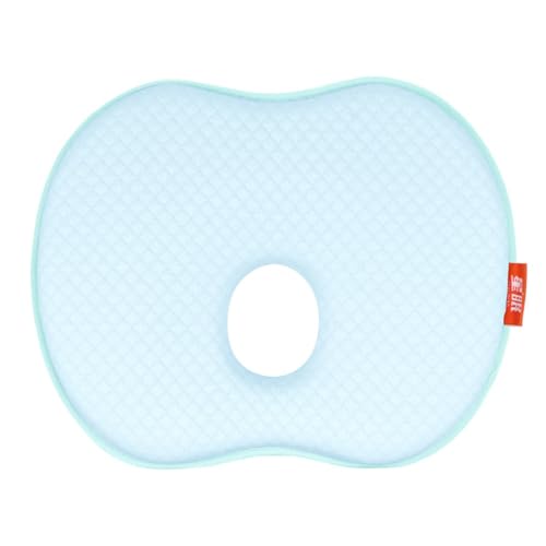 h[ic 炭  Q ᔽ [tH[h[ic` K Q ڂ  24.5×20x3cm (u[) [sAi]