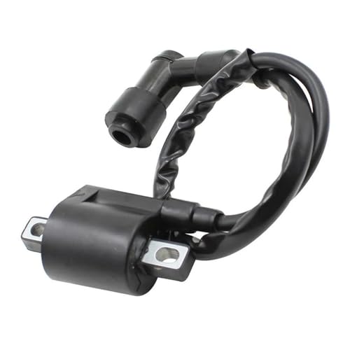 Bobina de encendido para solucionar problemas de arranque en motores de 50-250cc