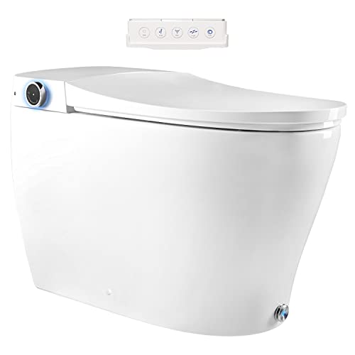 Top 10 Best Bidet Attachment With Dryer Reviews & Buying Guide Katynel