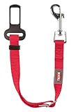 Gurt und Gürtel Sicherheit Katzen, 20 – 50 cm, Rot