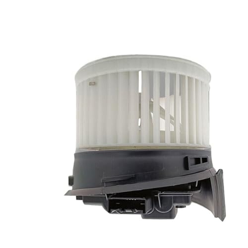 Heater Blower Motor Fan Compatible with Citroen C5 C6 Peugeot 407 407SW 6441S3