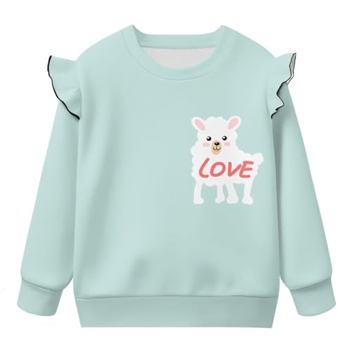 Toddler Sweatshirt Crew Neck Girls Animal Clothes Long Sleeve Hoodie Comfy Tops Preschool for Pre-K 1T-8T2