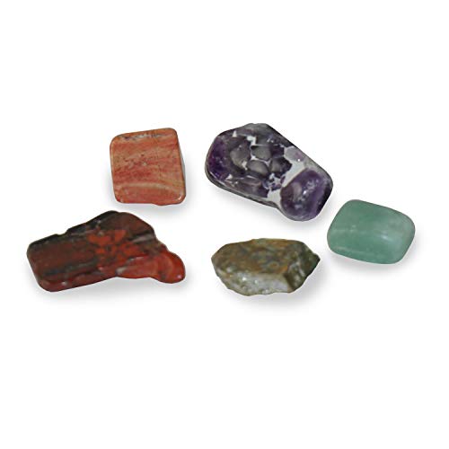 Dig It Up! Fossils & Minerals #TOP5