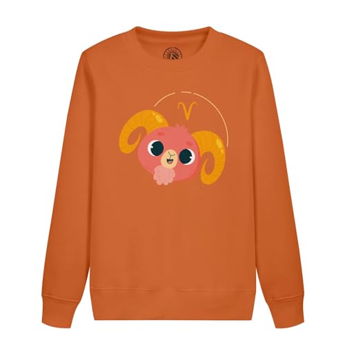 Sweatshirt enfant Bélier : le cadeau d'anniversaire idéal avec signe zodiaque