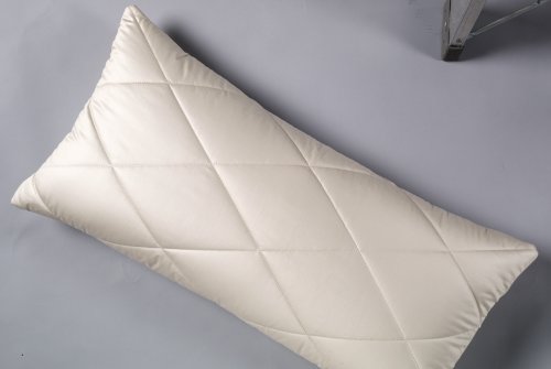 Preisvergleich Produktbild Kamelflaumhaar-Steppkissen