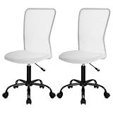 FDW Home Office Chair Mid Back Mesh Desk Chair Armless Computer Ergonomic Task Rolling Swivel Chair Back Support Adjustable Modern with Lumbar Support
