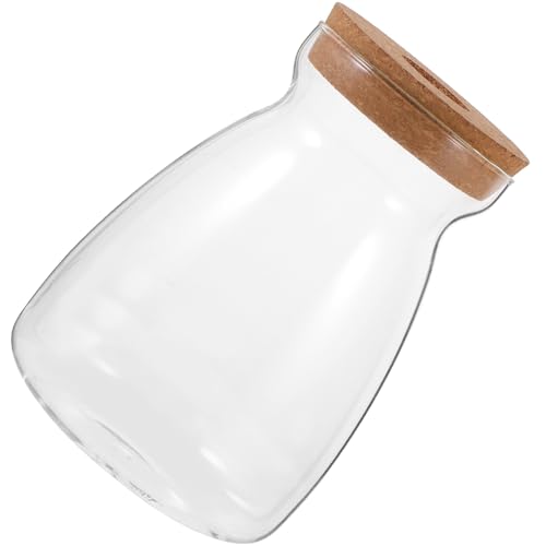 NUOBESTY Vase à Succulentes en Verre Transparent Grand Format, Contenant pour Composition Bouchon en Bois 3 Cm, Pot Hydroponique Décoratif pour Intérieur, Centre De Table Et Décoration D’étagère