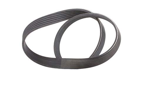 Continental Contitech 6PK800 Courroie trapézoïdale à nervures